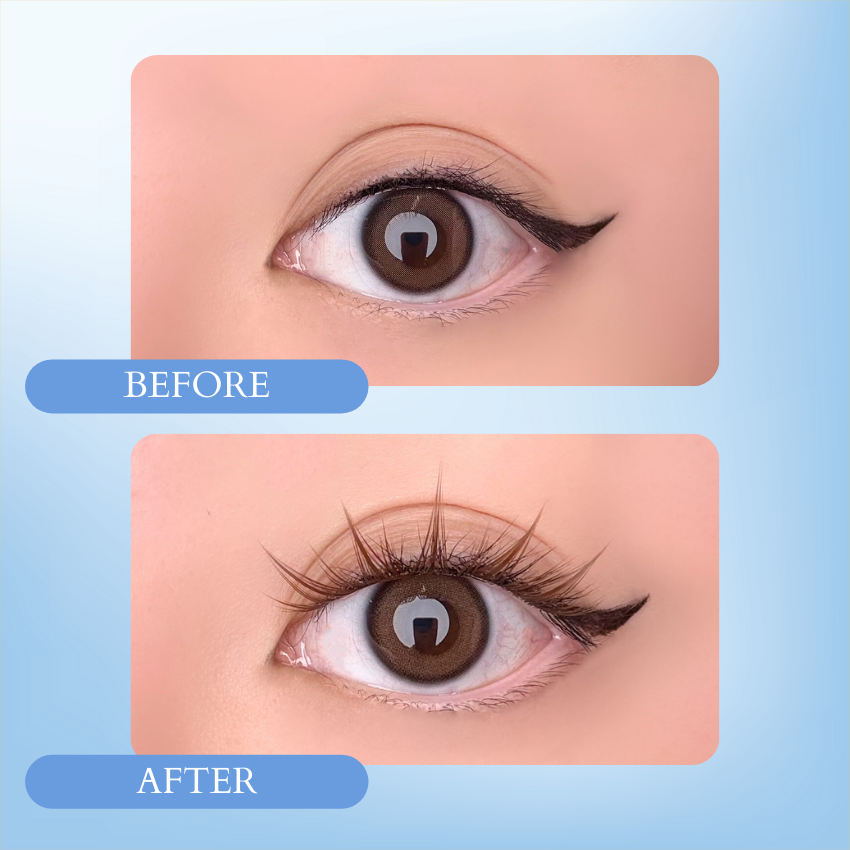 100PCs Fantasy Lashes - Brown