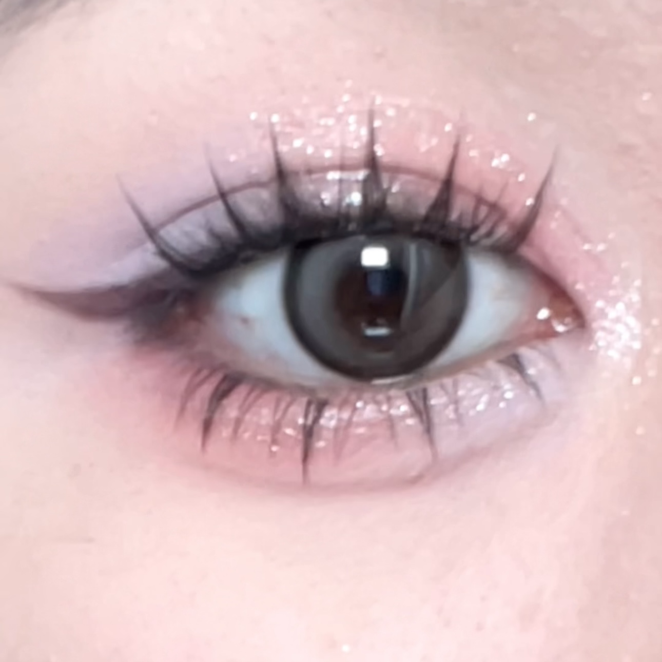 [NO GLUE] Blossom Lashes