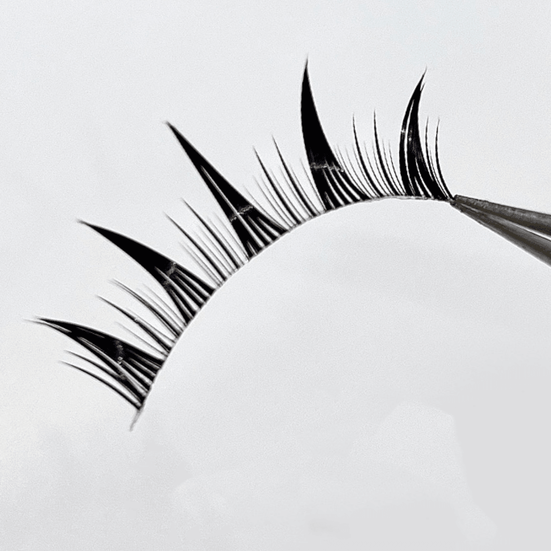 5 Pairs Cat Ear Lashes laid out to showcase their flared design, 9-14mm length, and lightweight, flexible band for a bold and dramatic look