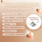 Informational graphic explaining No Glue Bisca Lower Lashes and their key features
